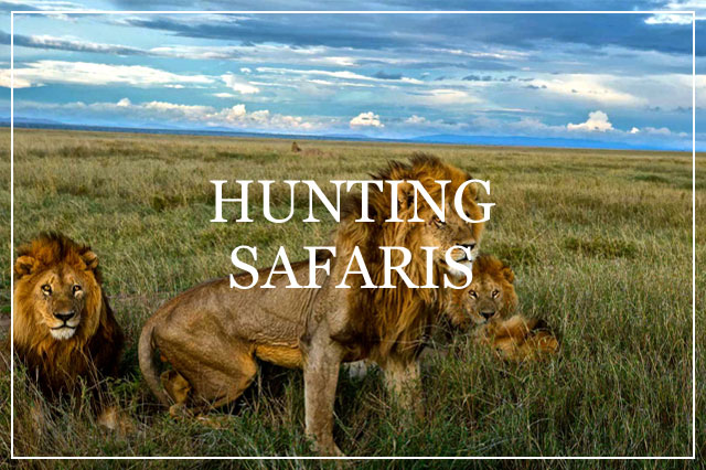 Safari Trackers Hunting Safaris